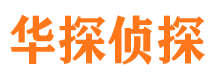 从江市婚姻调查